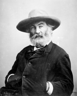 Walt Whitman Poets Picture